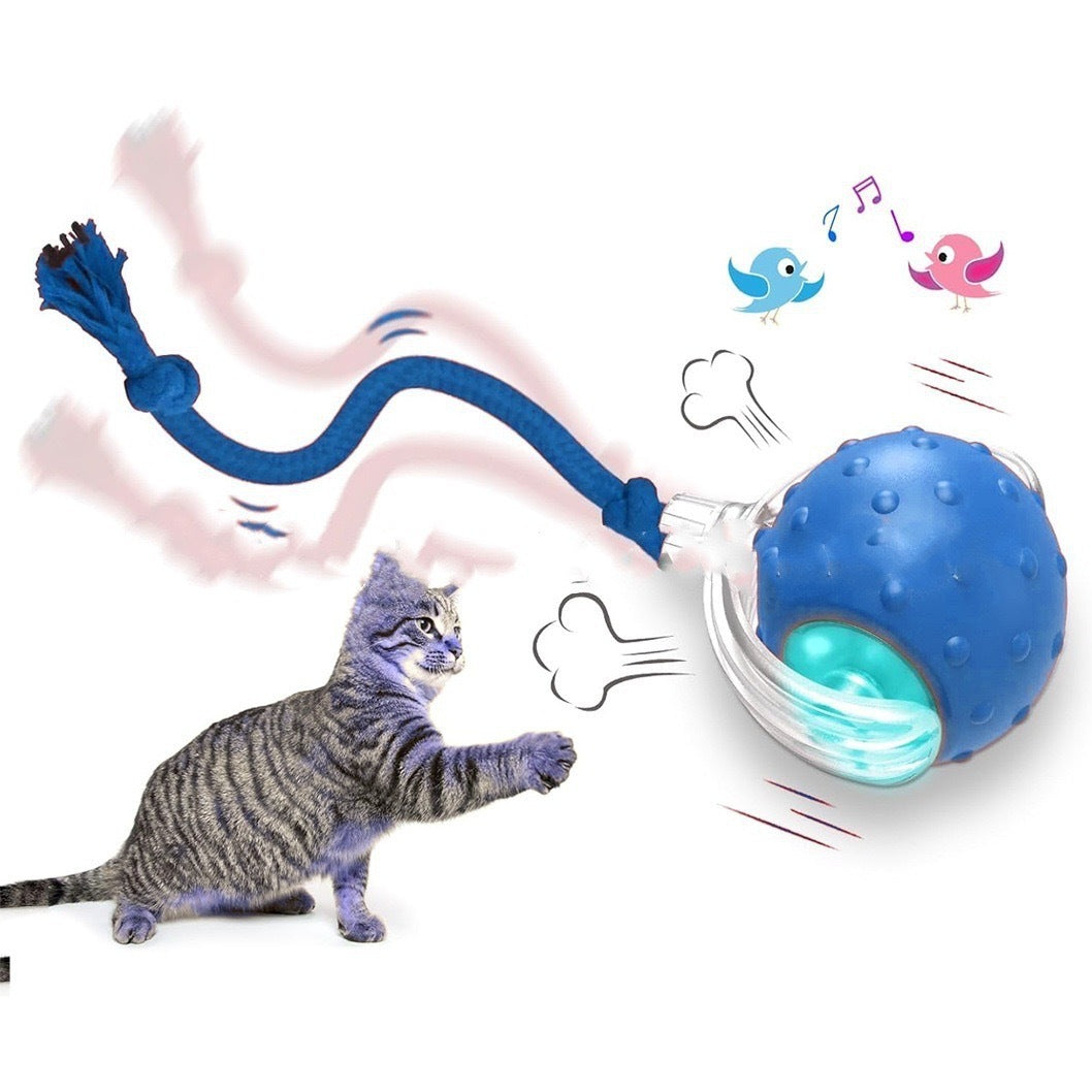 Interactive Cat Toy, Super Drive Cat. Rolling Ball
