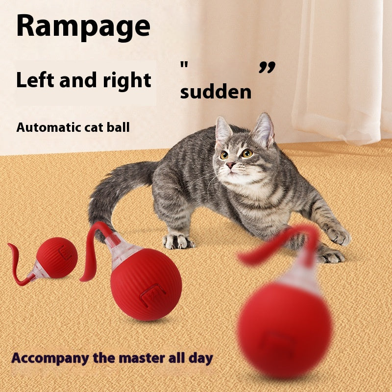 Interactive Cat Toy, Super Drive Cat. Rolling Ball