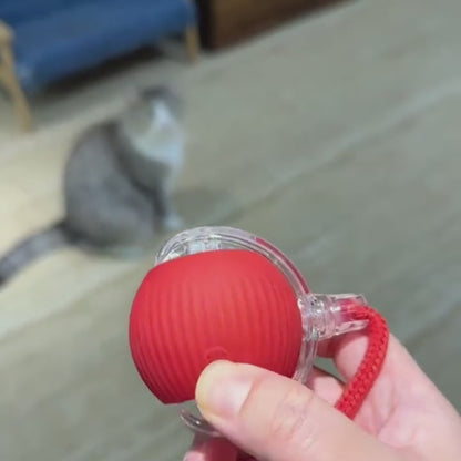 Interactive Cat Toy, Super Drive Cat. Rolling Ball